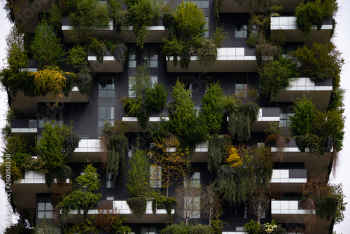 urban vertical garden