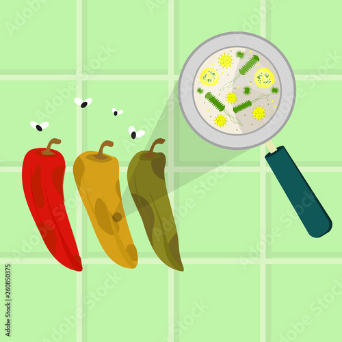 Contaminated chilli pepper. Microorganisms, virus and bacteria in the rotten and spoiled bell pepper enlarged by a magnifying glass. Tiles in the background.