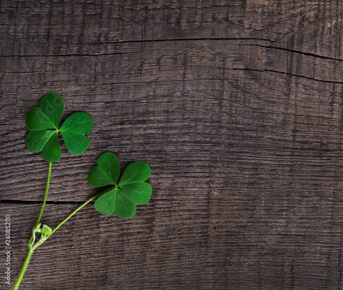 green clover symbol of a St Patrick day  on wooden background