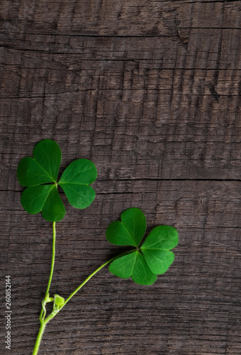 green clover symbol of a St Patrick day  on wooden background