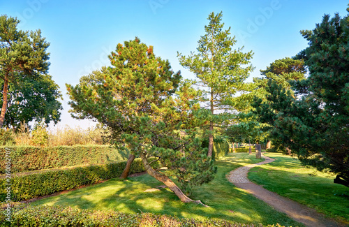 Park with beautiful trees on the beach promenade on the island of Usedom. Baltic Sea in Germany.
