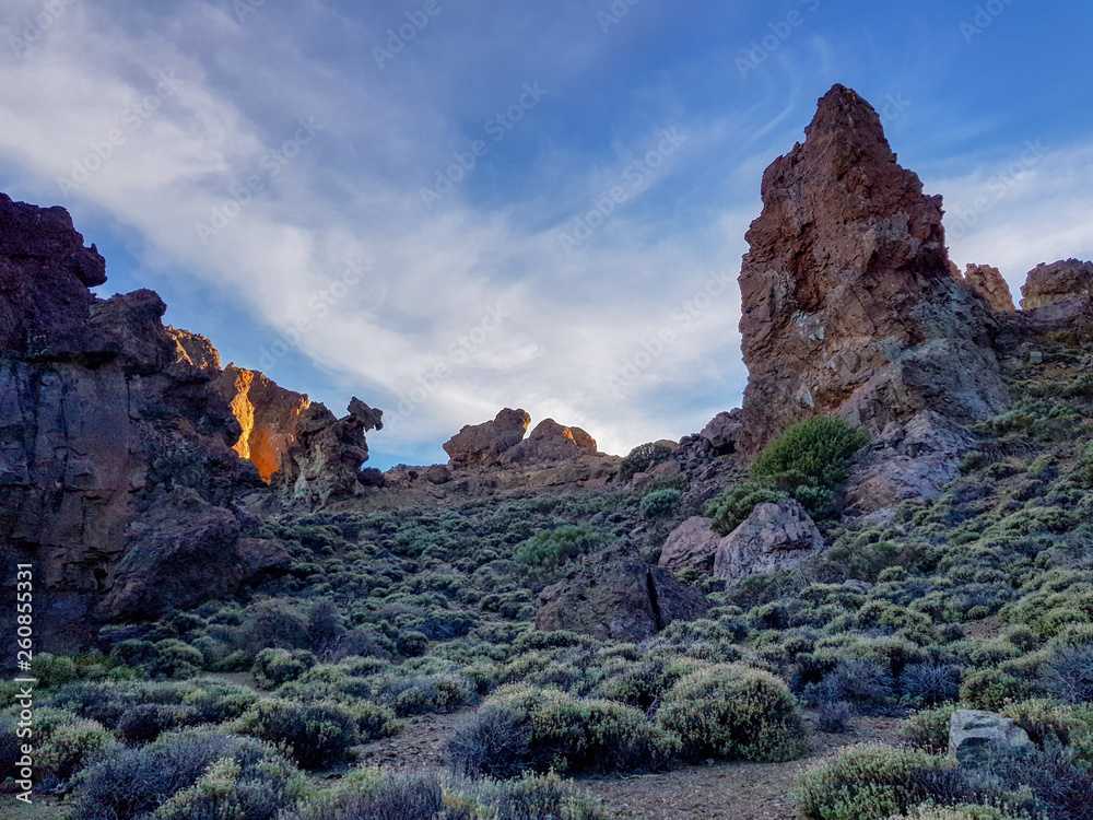 Fototapeta premium Beautiful scenery of caldera of Teide volcano in San Roques de Garcia, Tenerife. Spain