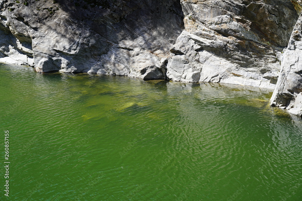 Fototapeta premium Green water under Ponte Romano Intragna Bridge