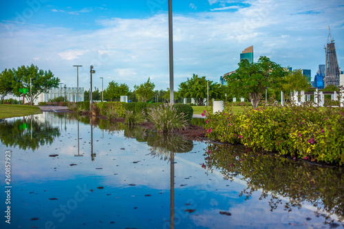 lake in the park