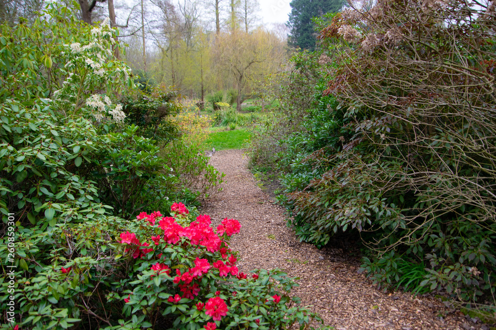 A beautiful pathway in the garden with the flowers on the left