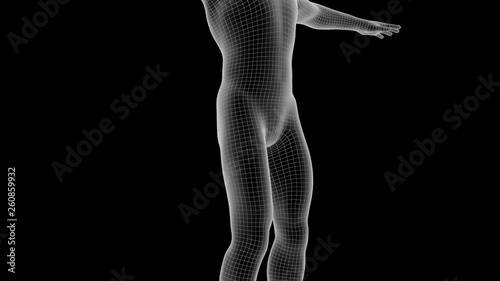3d animation of a man xray hologram with alpha channel 