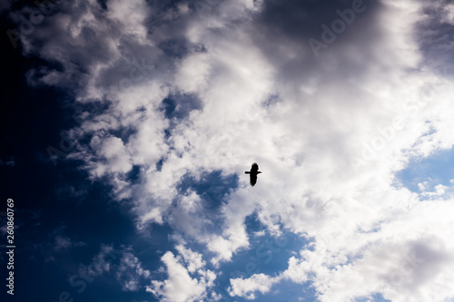 blue sky with clouds © Parakkal Navab