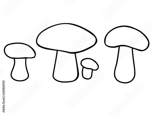 Edible mushrooms. Set of mushrooms of different sizes and shapes. Linear vector coloring picture - mushrooms. Outline.