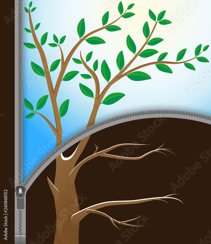 Vector illustration of a tree with a winter and spring landscape divided by a zipper.