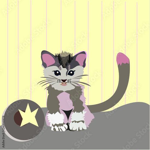 gatito