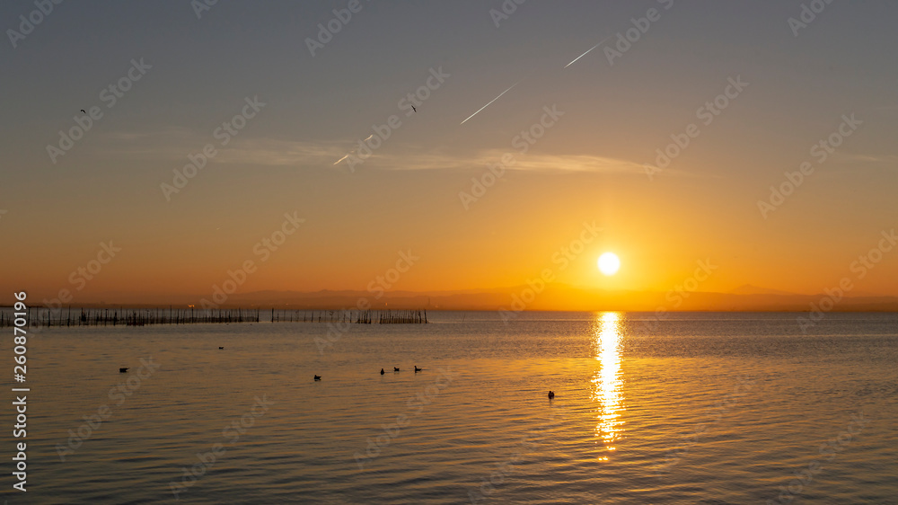 Sunset in Albufera of Valencia with seagulls in the water. Sunset in Albufera of Valencia with seagulls in the water.