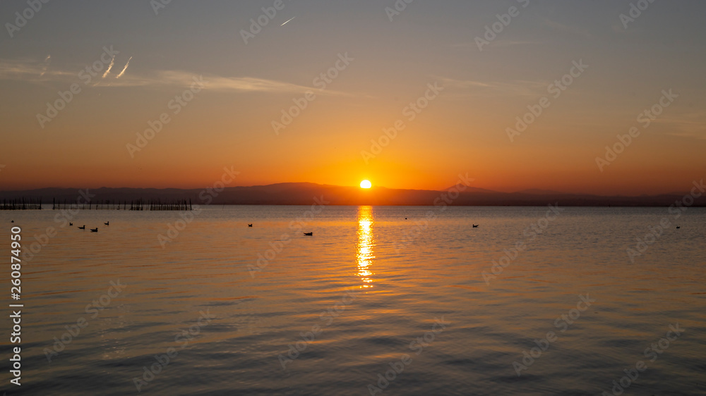 Sunset in Albufera of Valencia with seagulls in the water.