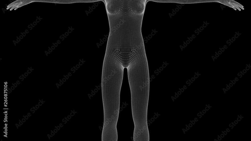 3d animation of a woman xray hologram with alpha channel 3d animation of a woman xray hologram with alpha channel