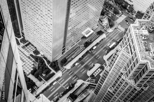 Black and White Bird View of Tokyo Street in Japan