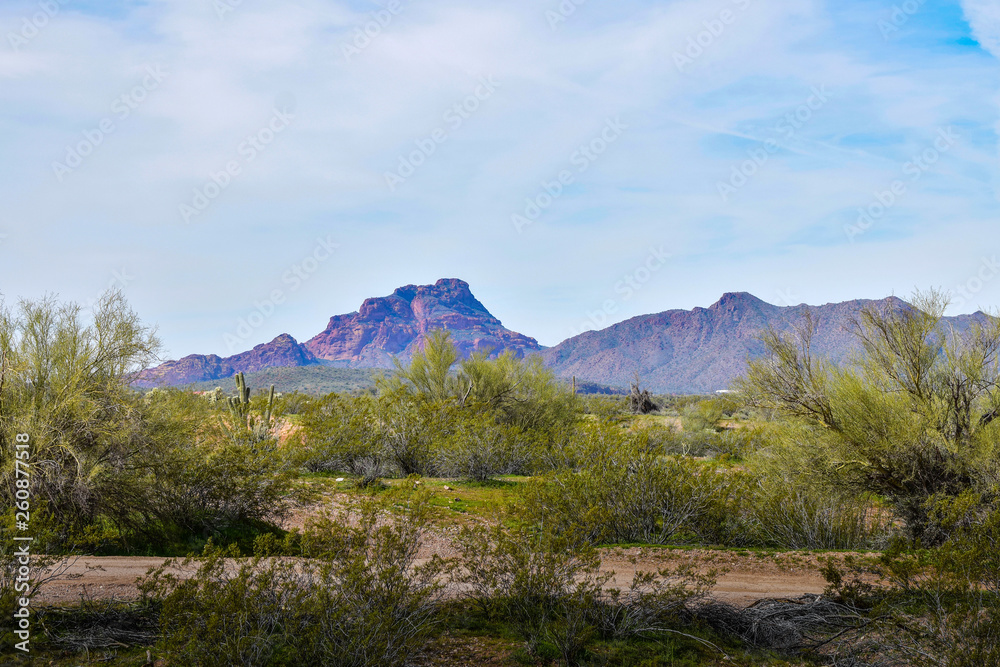 Fototapeta premium Arizona 