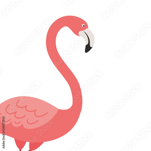 pink flamingo isolated icon