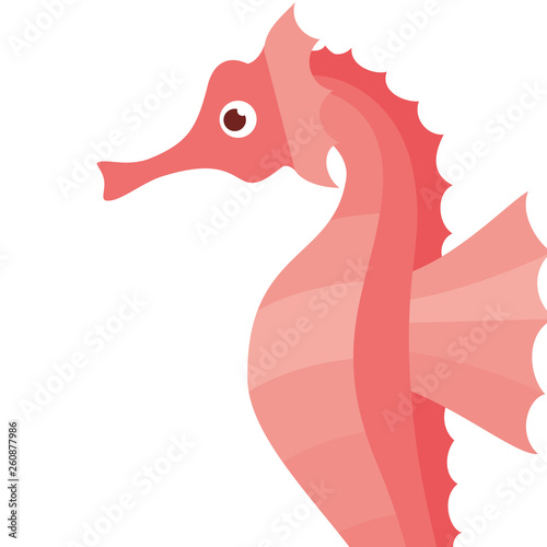 seahorse pattern isolated icon