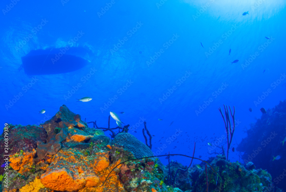 Fototapeta premium A silhouette of a dive boat can be seen floating on the surface of the water near Grand Cayman. Deep below on the tropical reef there is a vibrant growth of orange sponge 