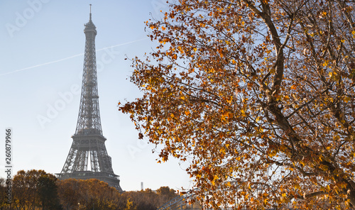 Paris Autumn