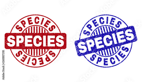 Grunge SPECIES round stamp seals isolated on a white background. Round seals with grunge texture in red and blue colors. Vector rubber imprint of SPECIES caption inside circle form with stripes.