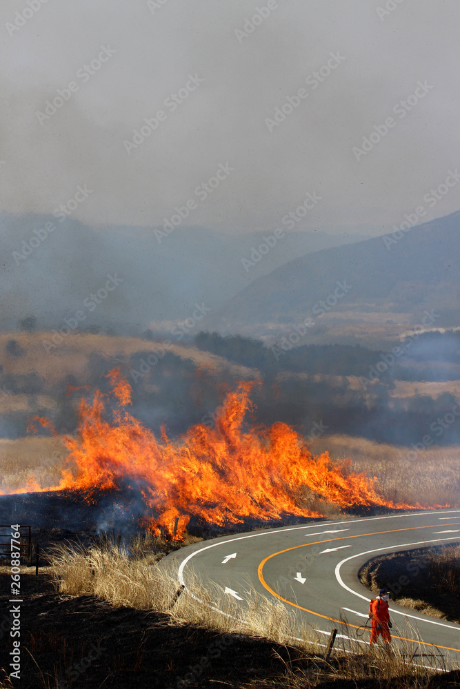 Fototapeta premium 阿蘇の野焼き