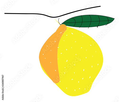 Yellow lemon with leafillustration vector on white background