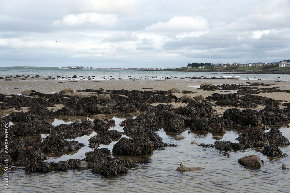 Sea stones at low tide.Ireland.