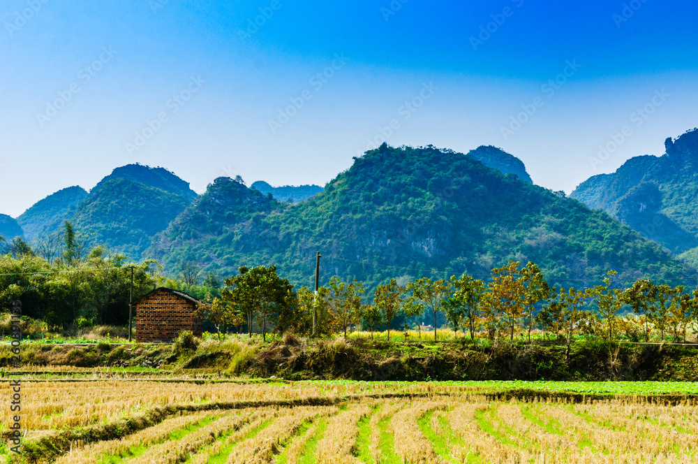 Naklejka premium landscape with mountains in background 