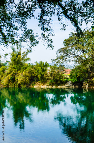 Landscape with lake and trees  
