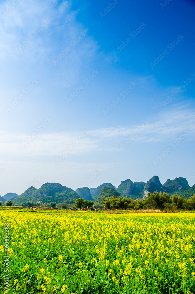 Countryside scenery with blue sky background  