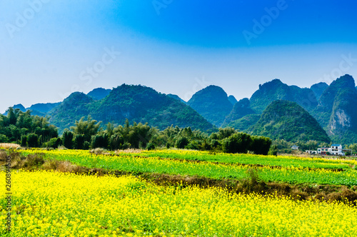 Countryside scenery with blue sky background 