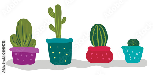 Bunch of cactus plants for indoor decoration provides extra style to the space occupied vector color drawing or illustration