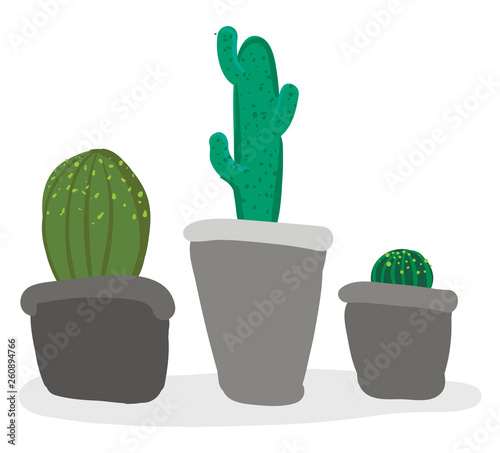 Beautiful indoor decoration of small cactus pots provides extra style to the space occupied vector color drawing or illustration