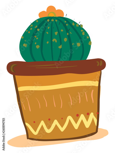 A round shape cactus house plant with an orange flower at its top in a painted earthen pot provides extra style to the space occupied vector color drawing or illustration