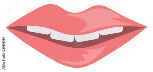 A beautiful smile painted with glossy red lipstick vector color drawing or illustration