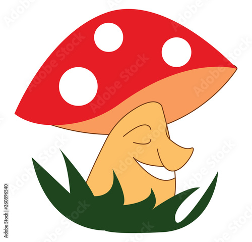 A beautiful mushroom smiling wearing a red and white cap grown above the grassland vector color drawing or illustration