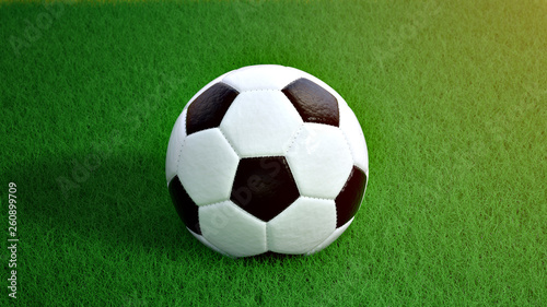 Football or soccer on fresh green grass