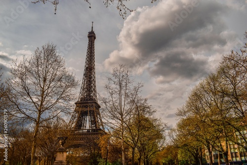 Torre Eiffel y árboles © alejandro