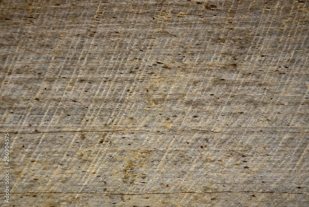 Fototapeta premium wood texture, background old panels