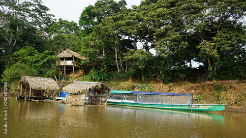 Yasuni Amazonia Ecuador 