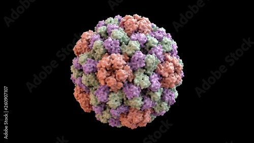 Brome Mosaic Virus Capsid Structure based on PDB : 3J7L, 360 degree rotation loop