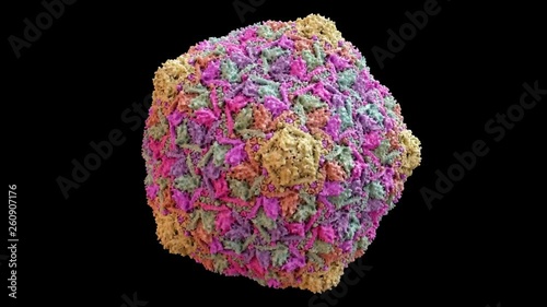 Bacteriophage HK97 virus capsid Structure based on PDB : 1OHG, 360 degree rotation loop