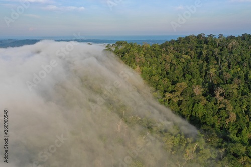 Forest, clouds and mountain. Rainforest jungle rain forest and clouds  © Richard Carey
