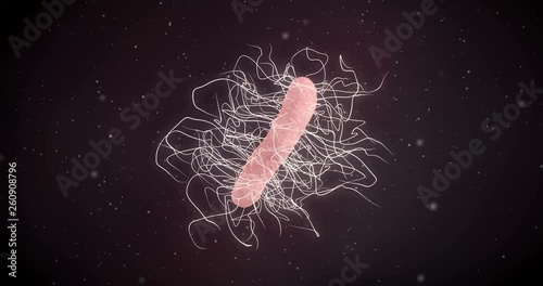 3D animation of a clostridium difficile bacteria photo
