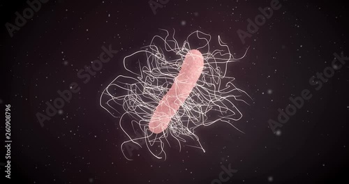 3D animation of a clostridium difficile bacteria