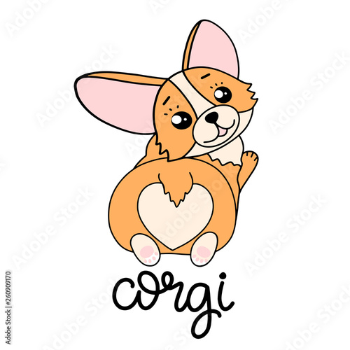 Corgi dog breed lettering vector illustration in cartoon style.