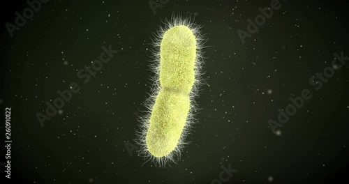 3D animation of a klebsiella pneumoniae bacteria photo