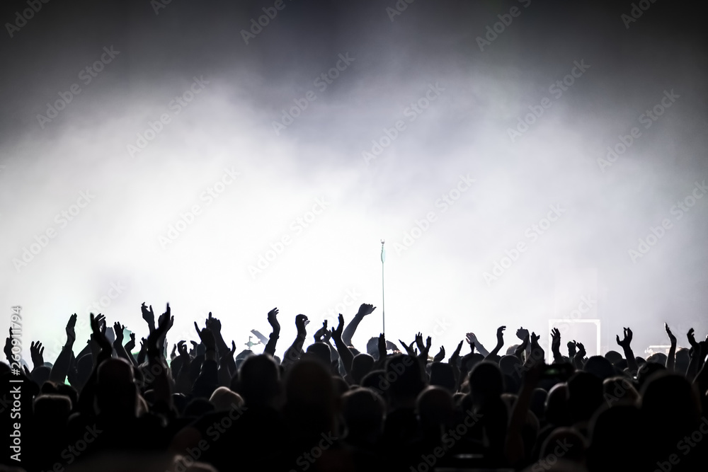 Naklejka premium audience at rock concert