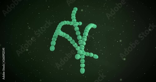 3D animation of a streptococcus pyogenes bacteria