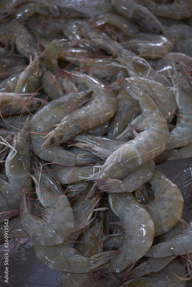 Fresh shrimp on ice, group of shrimp for sell Fresh shrimp on ice, group of shrimp for sell